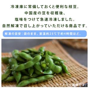 冷凍 塩味枝豆 500g 味付 徳用 急速冷凍...の詳細画像1