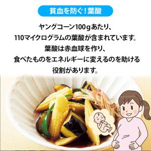 ヤングコーン 500g 業務用 冷凍 コーン ...の詳細画像3