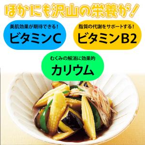 ヤングコーン 500g 業務用 冷凍 コーン ...の詳細画像4