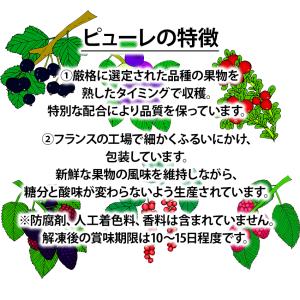 ボワロン 冷凍ピューレ フィグ 1kg 製菓用...の詳細画像2