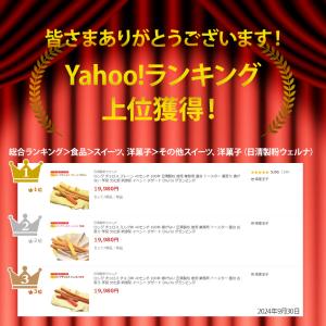 ロング チュロス チョコ味 40センチ 100...の詳細画像1