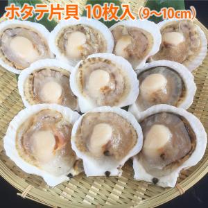冷凍 ホタテ片貝 9から10ｃｍ 10枚入 帆立 ほたて かたがい 殻付き BBQ バーベキュー 網焼き バター醤油 味噌汁 安 グランピング 6400300599
