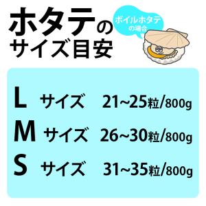 冷凍 ボイルホタテ 1kg (解凍後800g)...の詳細画像3