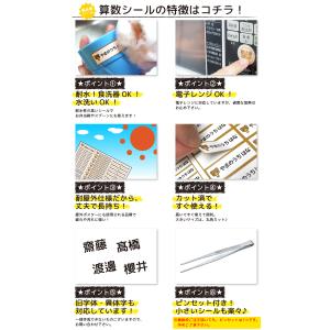お名前シール おなまえシール 最大1198枚 ...の詳細画像2