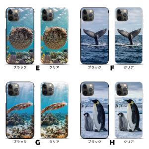 スマホケース ハードケース iPhone17 ...の詳細画像2