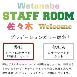 カッティング 文字 シール ステッカー カッテ...の詳細画像2