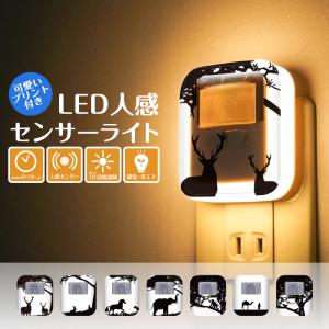 センサーライト 人感センサー 室内 LED 防犯 給電式 自動点灯