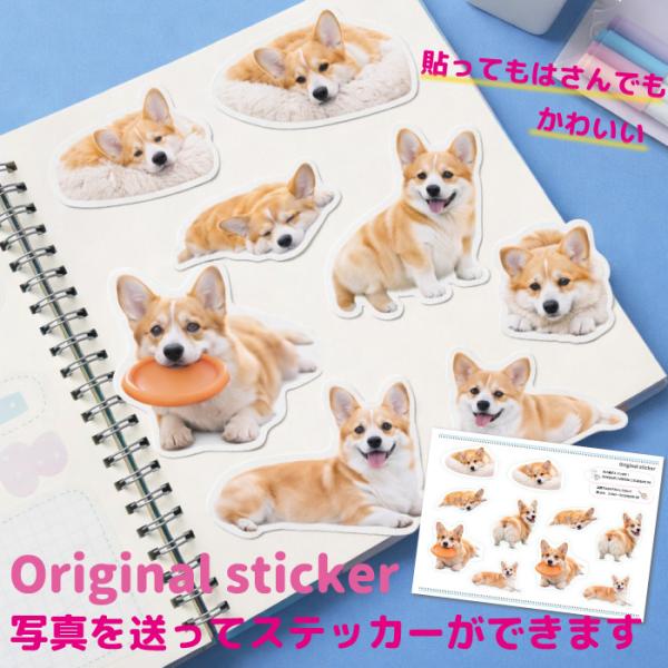 オリジナルステッカー シール オリジナルシール オリジナルグッズ ギフト プレゼント 愛犬グッズ う...