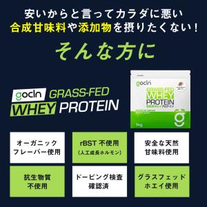 グラスフェッド プロテイン 1kg ココア G...の詳細画像4