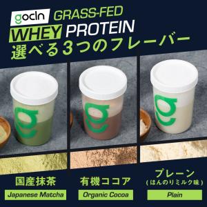 グラスフェッド プロテイン 1kg ココア G...の詳細画像3