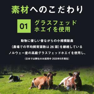 グラスフェッド プロテイン 1kg ココア G...の詳細画像5