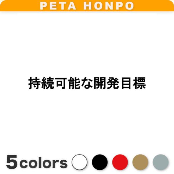 カッティングステッカー 持続可能な開発目標 サイズ選択可 SDGs 環境 エコ 資源