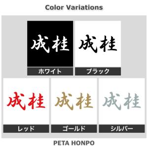 カッティングステッカー 成桂 サイズ選択可 将...の詳細画像1