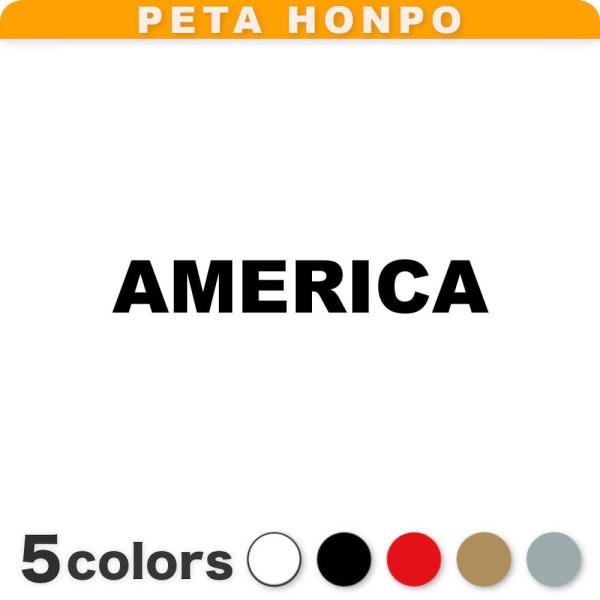 カッティングステッカー AMERICA サイズ選択可 アメリカ 米国 国名 英語