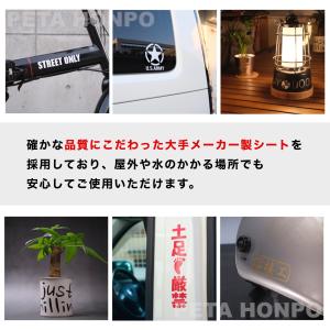 カッティングステッカー 錯魚 サイズ選択可 さ...の詳細画像2