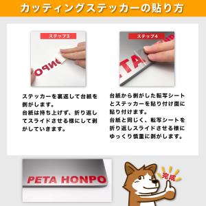 カッティングステッカー 錯魚 サイズ選択可 さ...の詳細画像5
