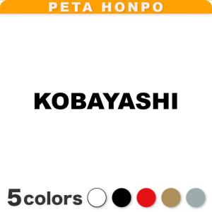 カッティングステッカー TAKEUCHI サイズ選択可 竹内 たけうち 苗字