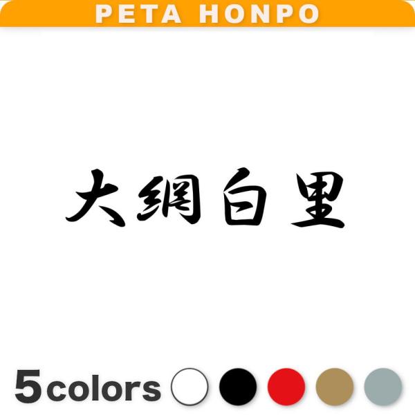 カッティングステッカー 大網白里 サイズ選択可 千葉県 市区町村 漢字 かっこいい