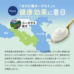 【公式】 フジッコ カスピ海ヨーグルト手づくり...の詳細画像4