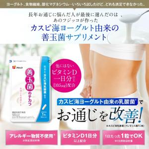 【公式】フジッコ 善玉菌のチカラ(1袋31粒入...の詳細画像1