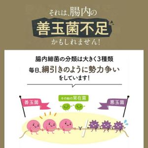 【公式】フジッコ 善玉菌のチカラ(1袋31粒入...の詳細画像5