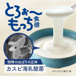 【公式】フジッコ カスピ海ヨーグルト手づくり用...の詳細画像5