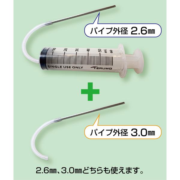 ヌキトルツイン