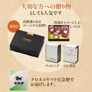 馬刺しのたれ 100ml フジチク 加工品 お...の詳細画像3