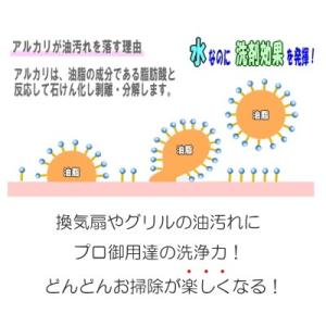 アルカリ電解水 スプレーボトル セット pH1...の詳細画像3