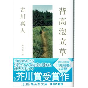 背高泡立草（文庫）｜fujicobunco