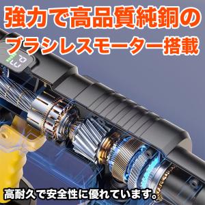 コードレス 高圧洗浄機 20bar バッテリー...の詳細画像1