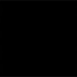 【新品】ランクル200 夏タイヤ ホイール4本セット 285/45R22 ブリヂストン デューラー H/Lアレンザ ワーク LS パラゴン SUV 22インチ｜fujicorporation