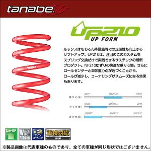 tanabe タナベ リフトアップサス サステック UP210 1台分セット ライズ