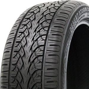 2本セット DELINTE デリンテ D8 デザートストームプラス(限定) 305/40R22 114V XL タイヤ単品｜fujicorporation