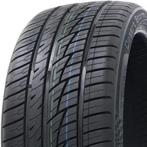 2本セット DELINTE デリンテ DS8(限定) 275/25R24 100W XL タイヤ単品｜fujicorporation