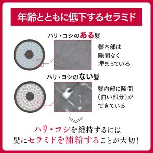 シャンプー アスタリフト スカルプフォーカス ...の詳細画像2