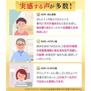 メタバリア プレミアムEX 90日分 720粒...の詳細画像4