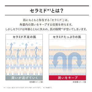 アスタリフト メン ジェリー アクアリスタ 6...の詳細画像4