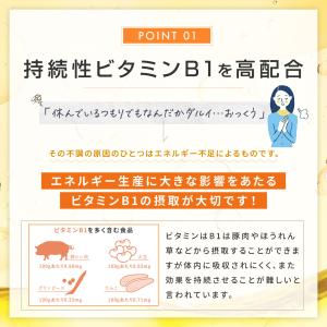 プレミアムビタミン サプリメント 約30日分 ...の詳細画像4