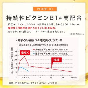 プレミアムビタミン サプリメント 約30日分 ...の詳細画像5