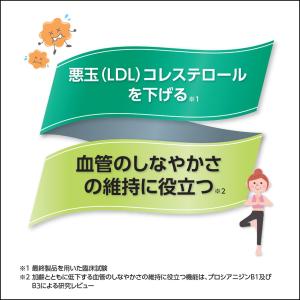 フラバンジェノール サプリメント 約30日分 ...の詳細画像3