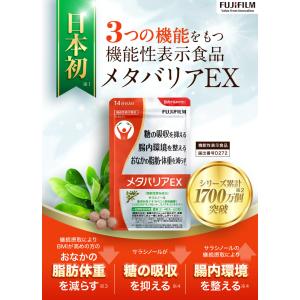 【リニューアル前品】メタバリアEX 90日分 ...の詳細画像2