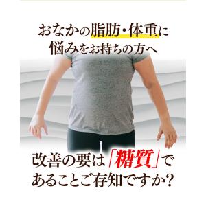 【リニューアル前品】メタバリアEX 90日分 ...の詳細画像5