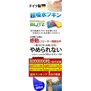 ドイツのフキン☆ブリッツ【無地10枚セット】レ...の詳細画像2