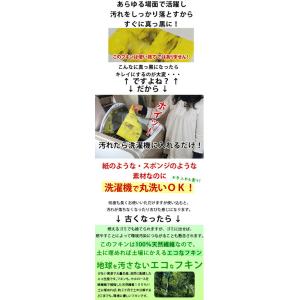 ドイツのフキン☆ブリッツ【無地10枚セット】レ...の詳細画像4