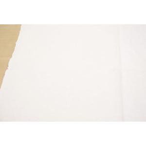 2003金巾[薄地](全1色) 数量「5」から...の詳細画像2