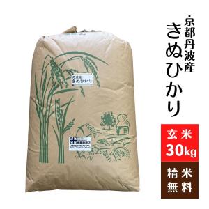 コシヒカリ 玄米 30kg 農家直送 令和7年 新潟産 玄米 30kg 送料無料 お