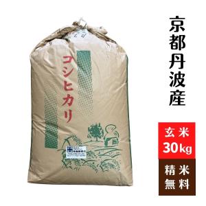 令和7年産 玄米30kg 島根県産きぬむすめ 送料無料（一部地域を除く