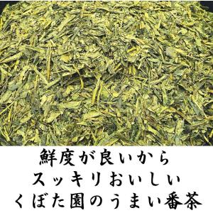 うまい番茶 230g 血糖値が気になる方に ポ...の詳細画像2