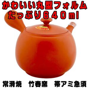 急須 朱泥竹絵 カゴアミ急須 300ml 宗山窯 籠網 朱の色合いの魅力 茶器